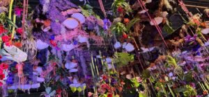 philadelphia-flower-show-barbara-rozgonyi-1