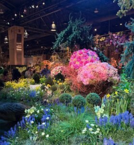 philadelphia-flower-show-barbara-rozgonyi-2