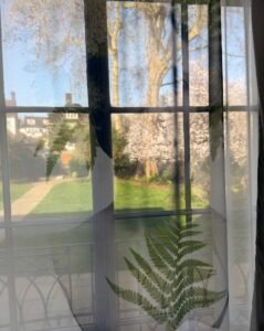keats house curtains
