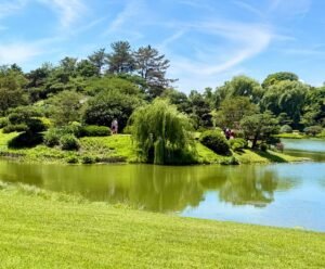 cbg-japanese garden barbara rozgonyi