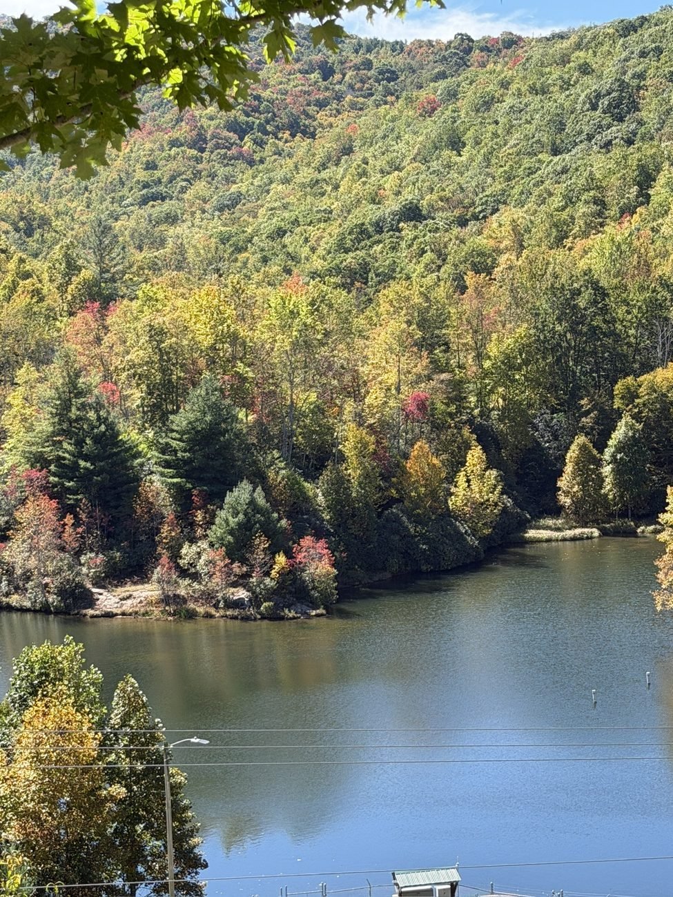Forested hillside with early fall color reflected in a mountain lake
